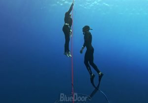 BlueDoor Freediving eğitim programı
