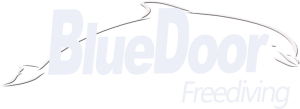 BlueDoor Freediving